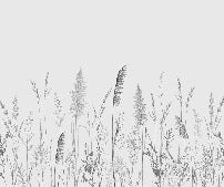 Wild meadow panoramic wallpaper