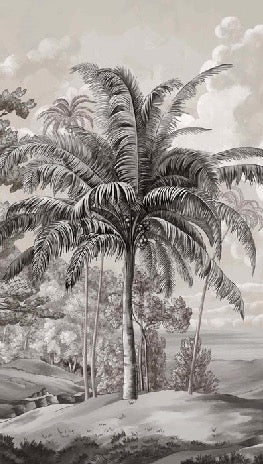 Black and white Sulawesi landscape wallpaper