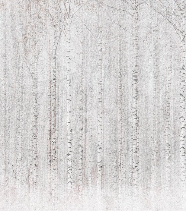 Enveloping birch forest wallpaper