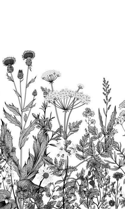 Black and white botanical folk wallpaper