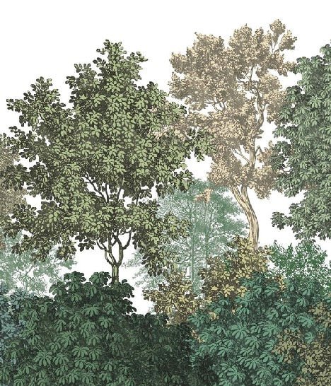 Landscape wallpaper forest engraving