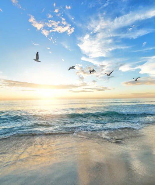 Paradise beach bathroom wallpaper