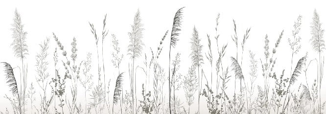 Poetic pampa wallpaper