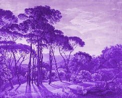 Purple Italian historical landscape wallpaper