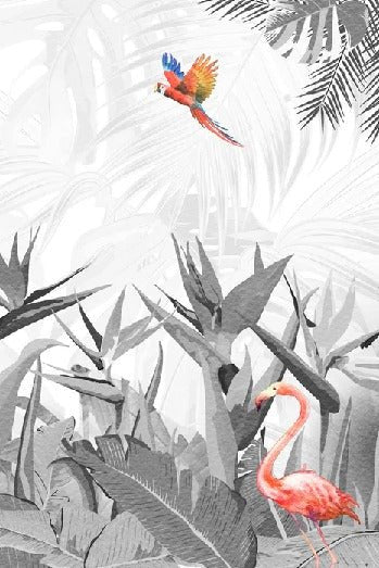 Black and white bird of paradise wallpaper