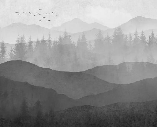 Black and white nature panorama wallpaper