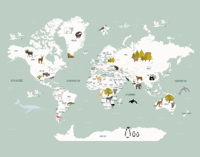 Children's French world map wallpaper green