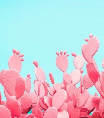 Pop cactus wallpaper