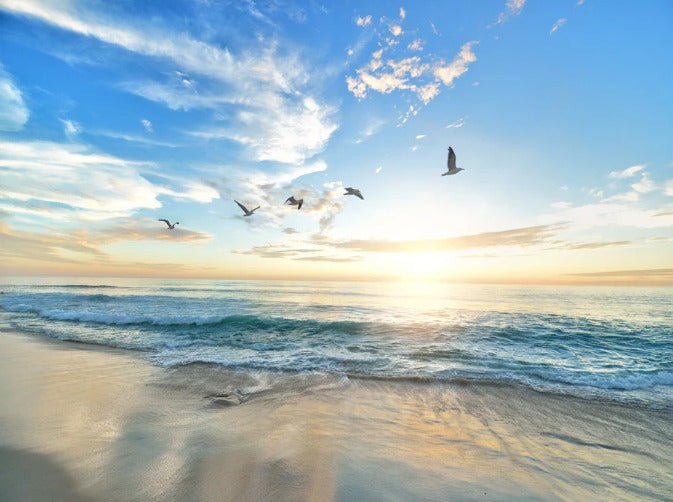 Papier peint Plage Paradisiaque, XXL, tendance