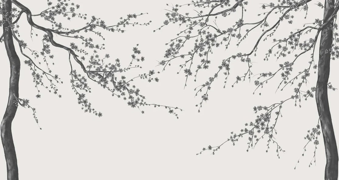 Sakura black and white panoramic flower wallpaper