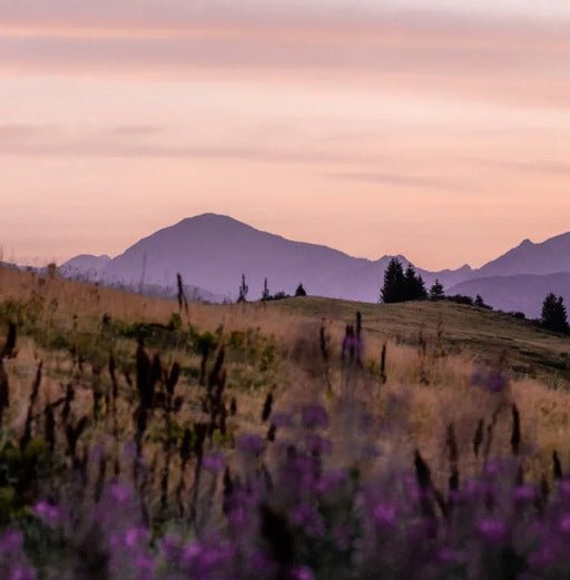 Wallpaper restaurant massif du Giffre