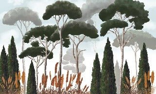 Custom wallpaper cypress pine and pampas grass