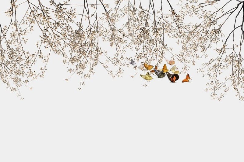 Papier peint salon branchage & papillon, XXL, tendance