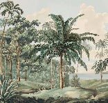 Sulawesi landscape wallpaper