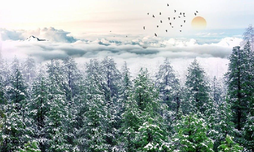 Bathroom wallpaper fir forest snow
