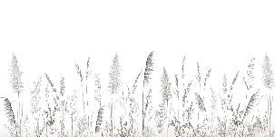 Poetic pampa wallpaper