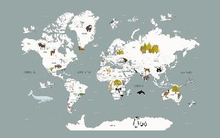 Children's French world map wallpaper grey