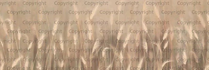 Beige wild grass panoramic wallpaper