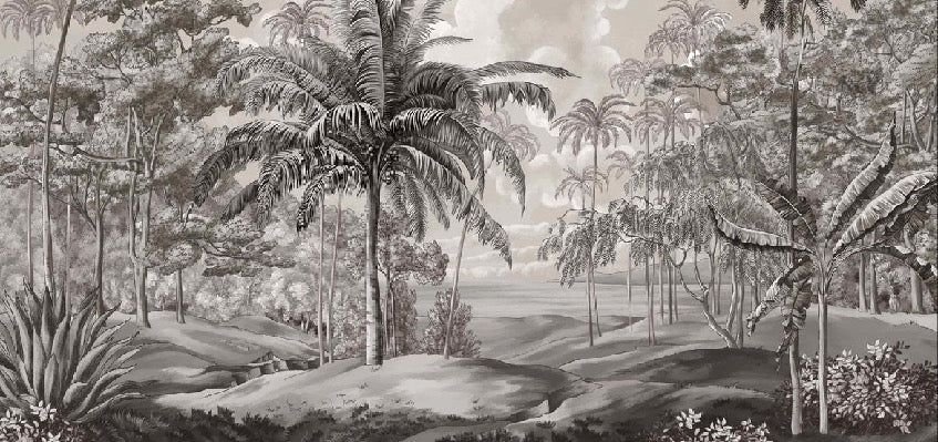 Black and white Sulawesi landscape wallpaper