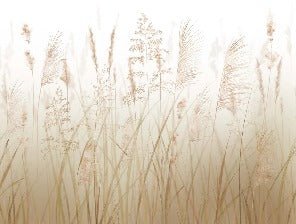 Wheat field flower wallpaper