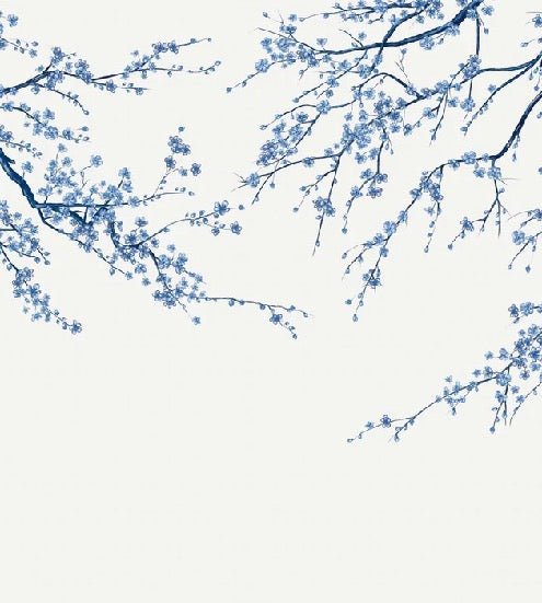 Sakura white panoramic flower wallpaper