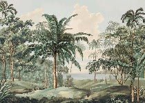 Papier peint paysage Célèbes, XXL, tendance