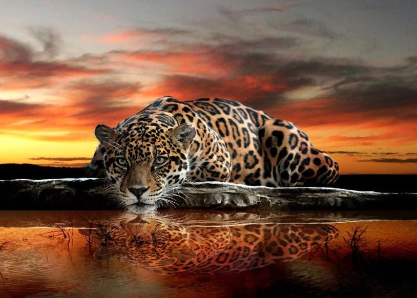 Majestic Panther Wallpaper