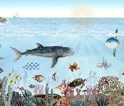 Sea animals wallpaper