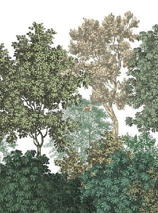 Wallpaper restaurant landscape forest engraving