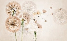 Dandelion flower wallpaper