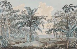 Papier peint paysage Célèbes bleuté, XXL, tendance