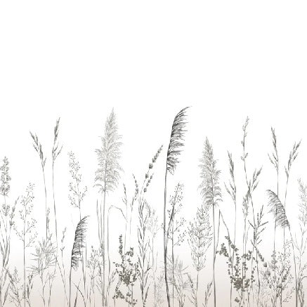 Poetic pampas wallpaper