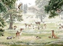 Children's wallpaper animals and pets