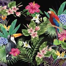 Tropical & Toucan wallpaper
