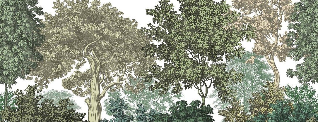 Landscape wallpaper forest engraving