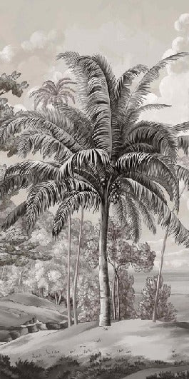 Black and white Celebes landscape wallpaper