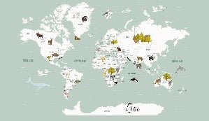 Children's French world map wallpaper green