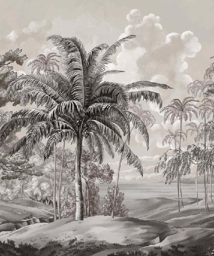 Black and white Sulawesi landscape wallpaper