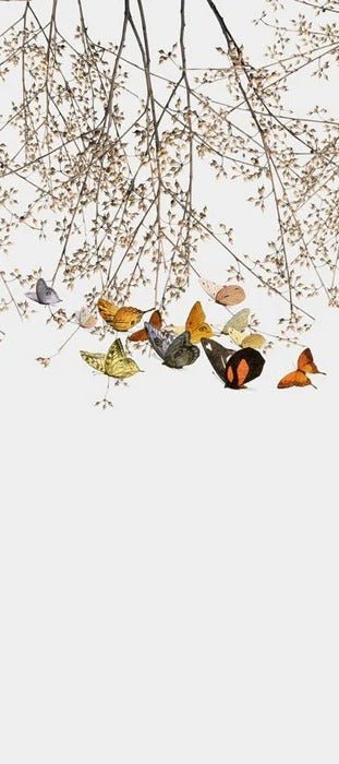 Branch & butterfly living room wallpaper