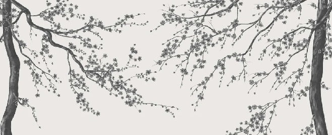 Sakura black and white panoramic flower wallpaper