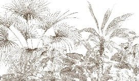Papier peint tropical gravure monochrome, XXL, tendance