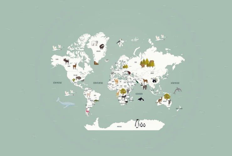 Children's French world map wallpaper green