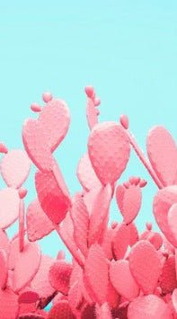 Pop cactus wallpaper