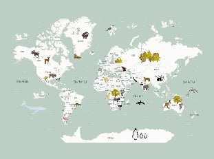 Children's French world map wallpaper green