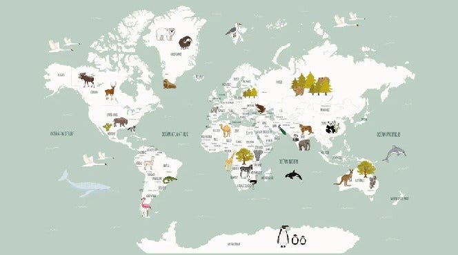 Children's French world map wallpaper green
