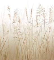 Wheat field flower wallpaper