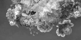 Black and white peony flower wallpaper