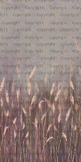 Wild grass panoramic pink wallpaper