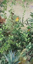 Jungle Parrot wallpaper