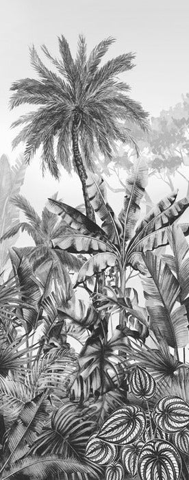 Black and white tropical trend wallpaper